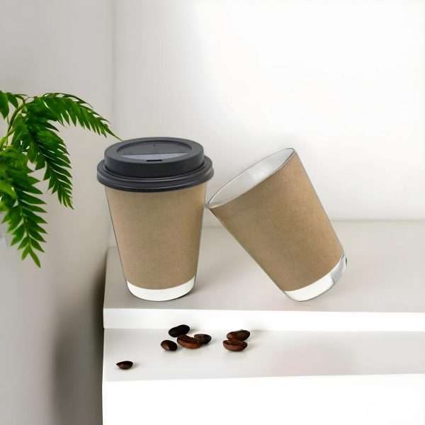 Double wall glass with lid