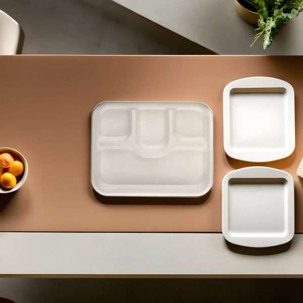 meal plate